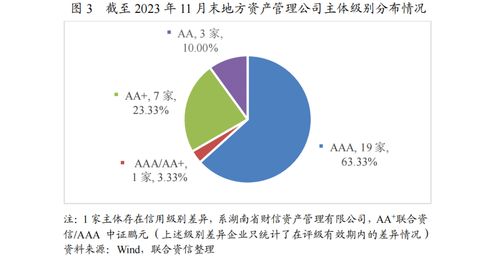 2024年中國地方資產管理行業信用風險展望
